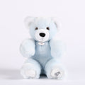 MARTIN | Blue Plush Bear (30 cm) | Made in France
