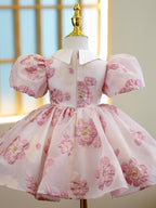 Piano Playing Flower Girl's Wedding Little Girl Princess Dress Birthday Costume