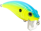 Bull Nose