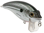 Bull Nose