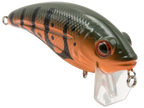 Bull Nose