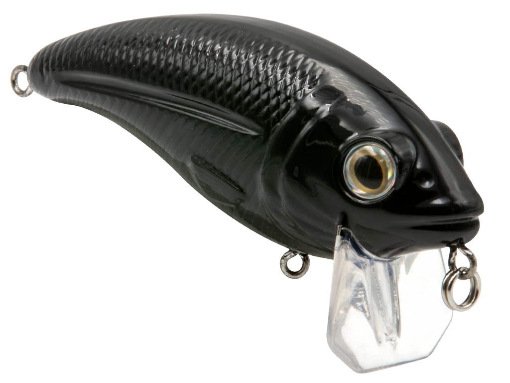 Bull Nose