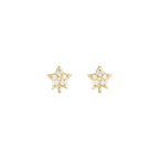 Gold Star Hoop Earrings for Women earringEarrings for WomenGold Star EarringsGold Star Earrings for WomenStar Earrings for Women