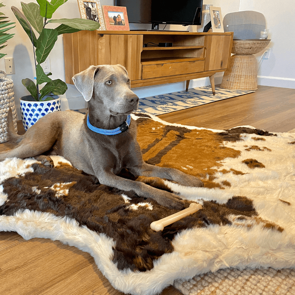 PupRug® Animal Print Memory Foam Dog Bed - Brown Faux Cowhide