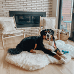 PupRug by Paw.com® Faux Fur Orthopedic Dog Bed - Curve Polar White