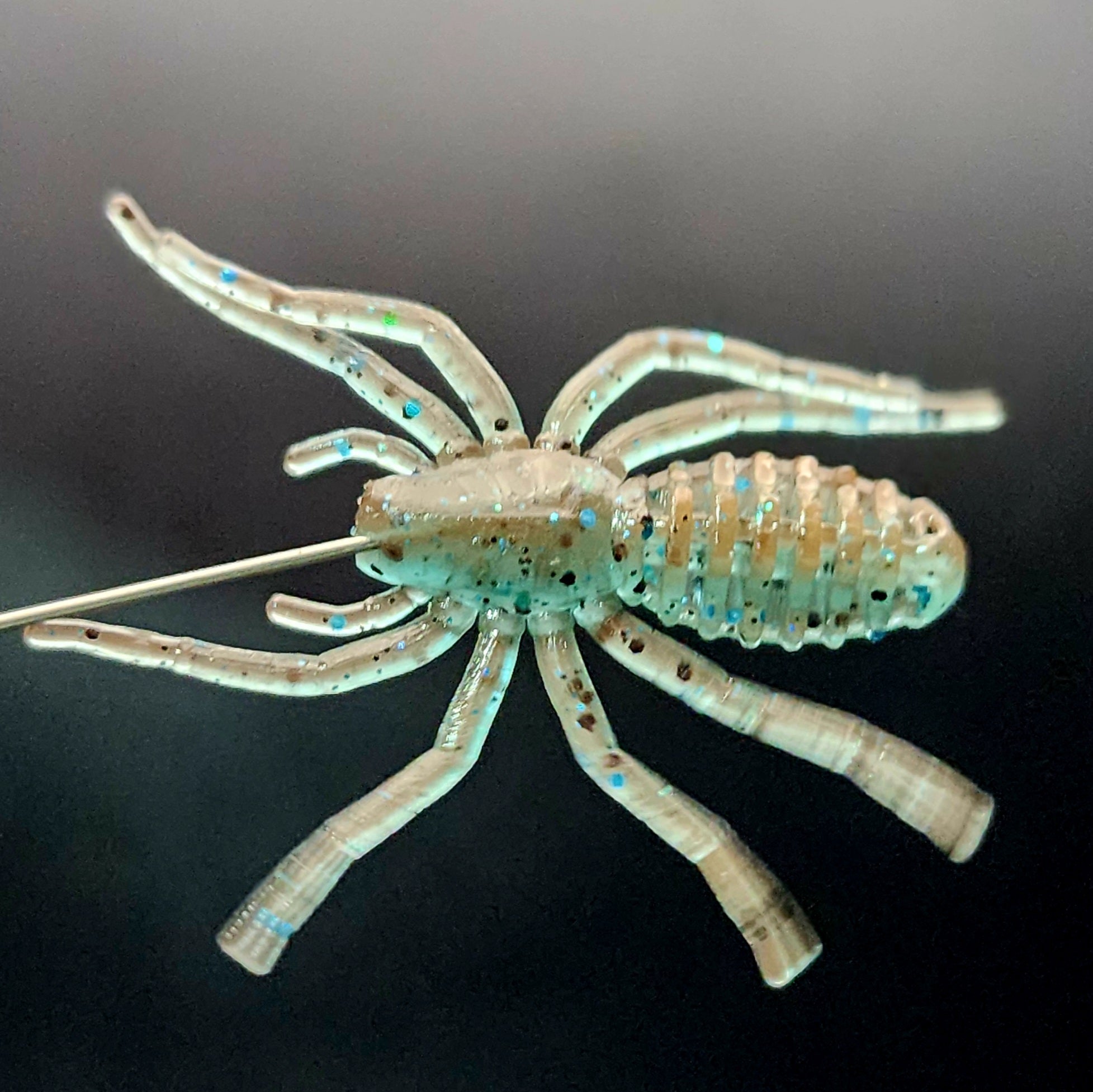 Jar of 1" Micro Spider Bait "The Writing Spider"