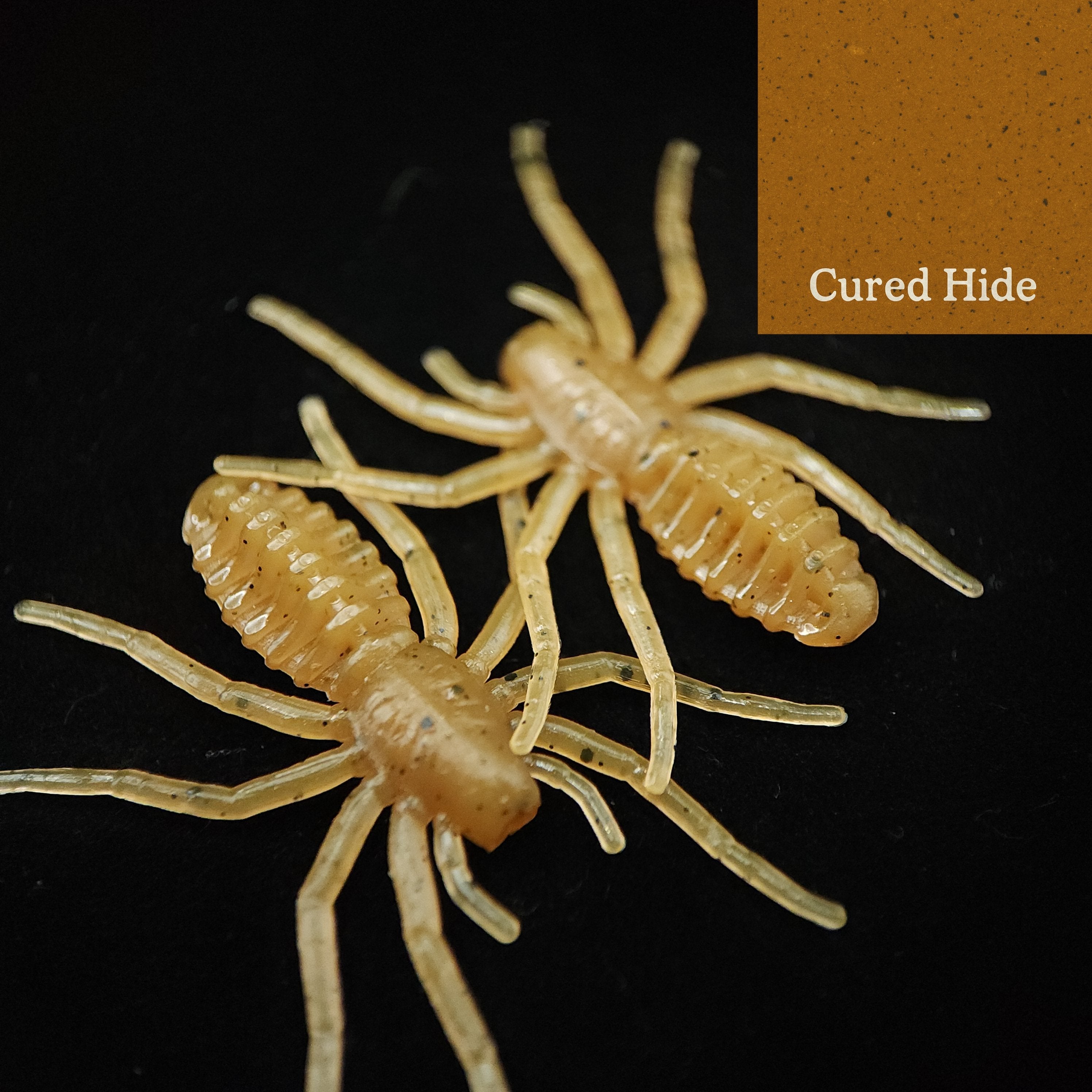Jar of 1" Micro Spider Bait "The Writing Spider"