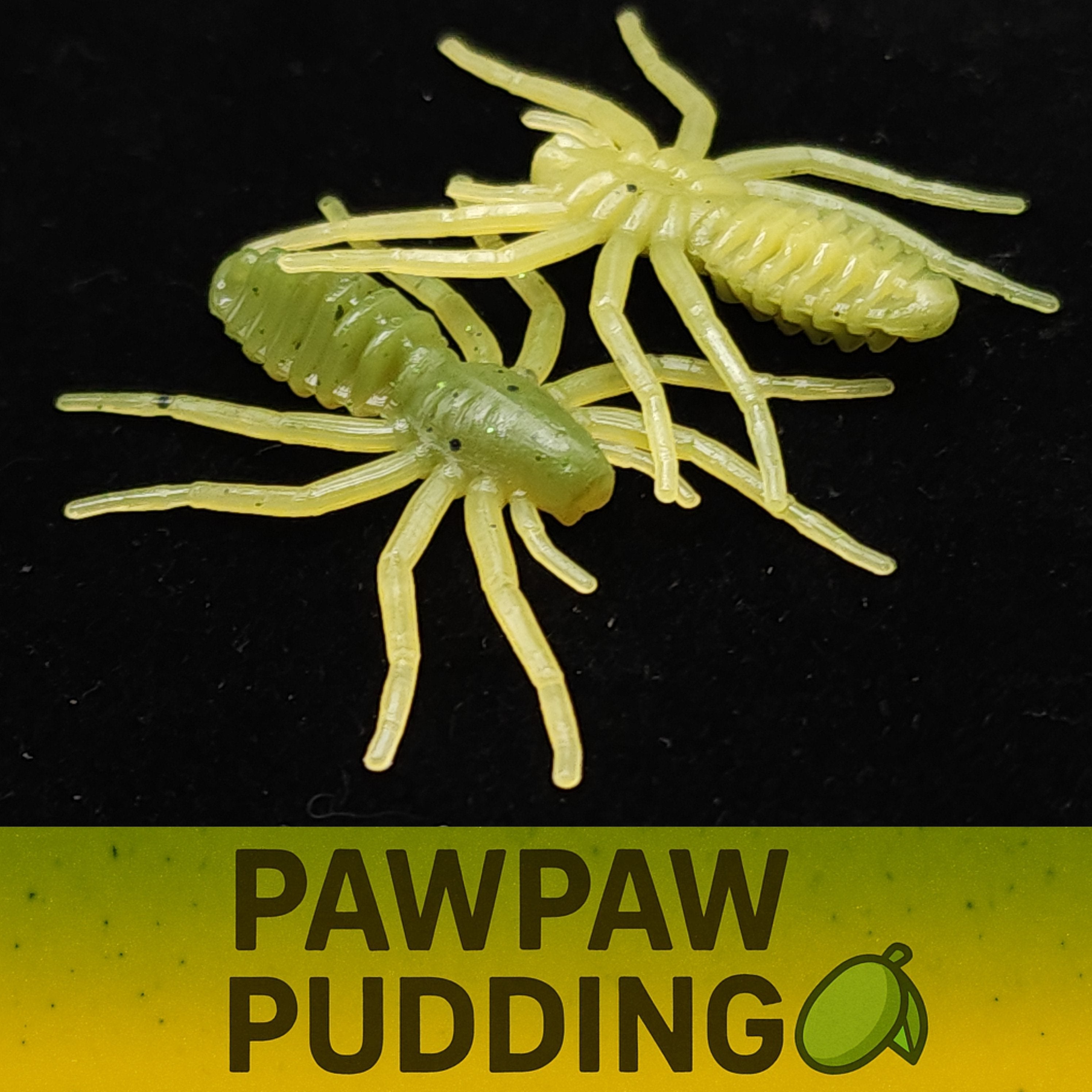 Jar of 1" Micro Spider Bait "The Writing Spider"