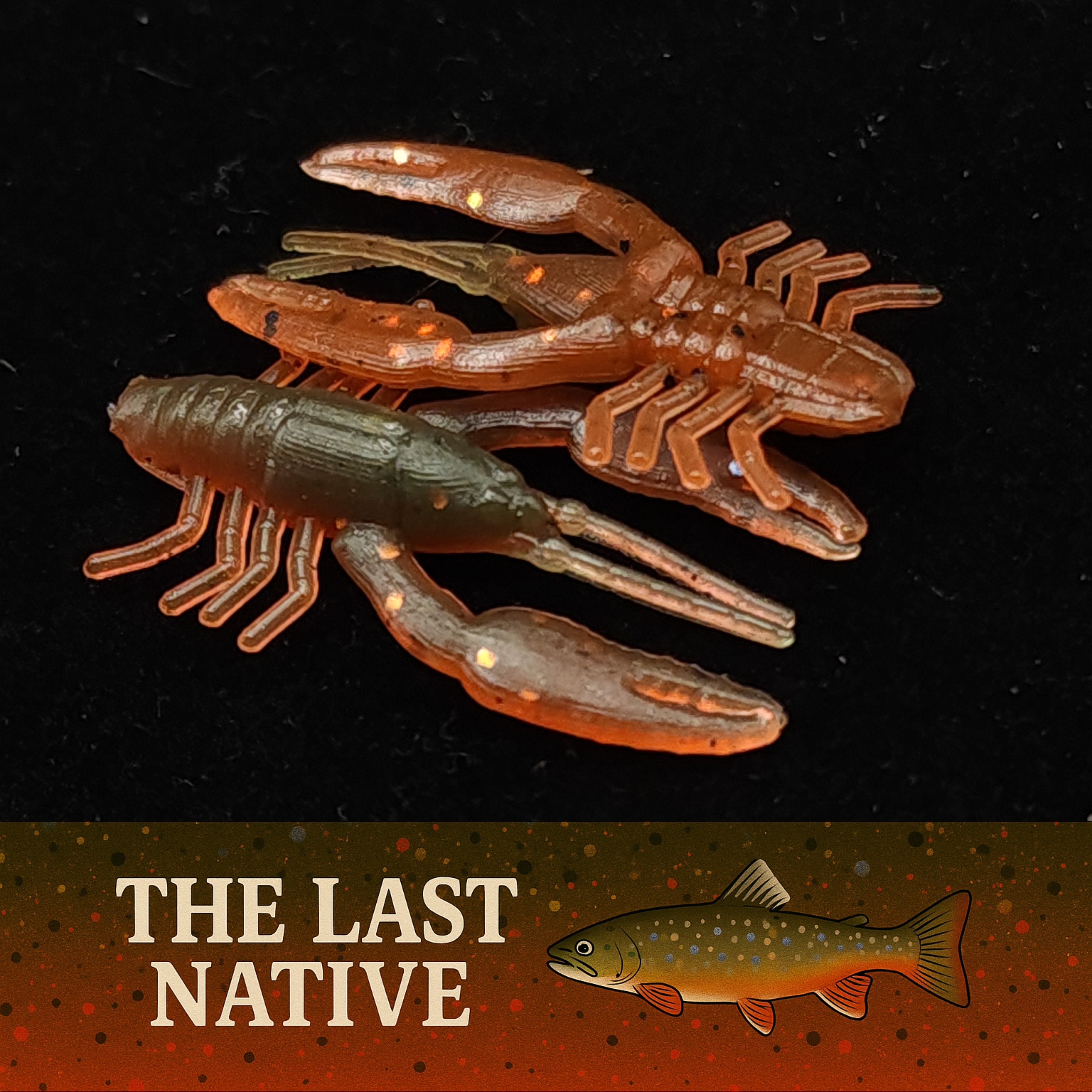 Jar of 1" Inch Micro Crayfish "The Creek Crawler"
