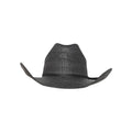JUSTIN BLACK BANGORA STRAW 218