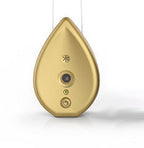 Dog Barking Control Device