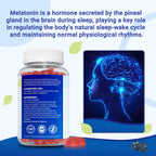 I Love Health Sleep Gummy | Melatonin 6mg + Vitamin B6 6mg Sleep Support Gummies with Natural Blueberry Flavor - Made in cGMP facility