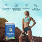Organic Sunwarrior - Warrior Blend, Plant Based, Raw Vegan Protein Powder with Peas & Hemp, Chocolate, 30 Servings, 26.4 Ounce