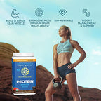 Organic Sunwarrior - Warrior Blend, Plant Based, Raw Vegan Protein Powder with Peas & Hemp, Chocolate, 30 Servings, 26.4 Ounce