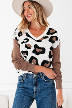 Jet Stream Leopard Print Color Block Patchwork Sleeve V Neck Sweater