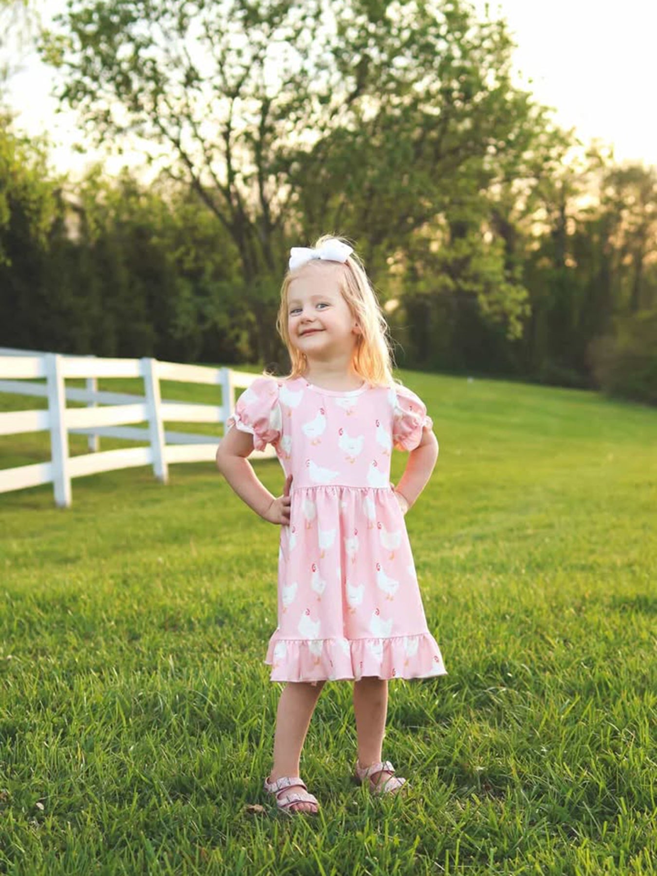 Farm Spring Chicken Print Girls Ruffle Dress