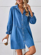 Button-Front Ruffle Cuff Denim Dress