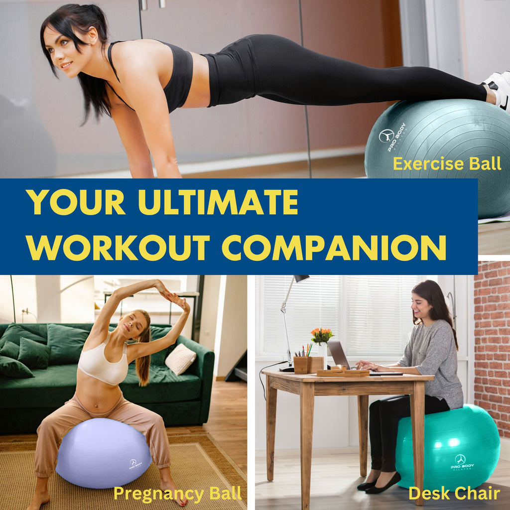 Pregnancy Ball for Maternity, Labor and Birth.  Includes Pregnancy Guide.  (Lilac)