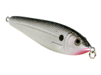 EBS Jigging Spoon