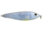 EBS Jigging Spoon