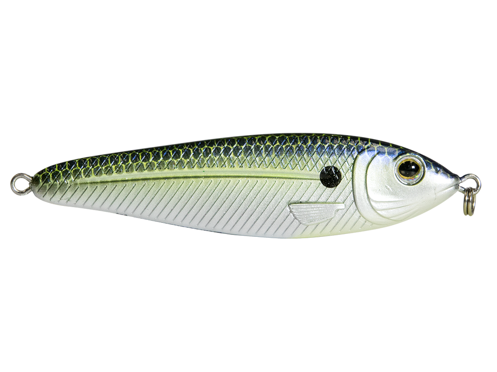EBS Jigging Spoon