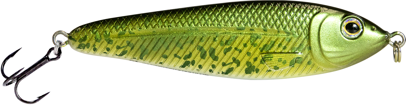 EBS Jigging Spoon