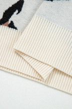 Jet Stream Leopard Print Color Block Patchwork Sleeve V Neck Sweater