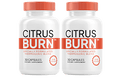 CitrusBurn