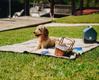 PupProtector™ Summer Short Fur Waterproof Throw Blanket - White with Brown Accents
