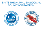 EBS Jigging Spoon