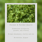 Citrine & Peridot Bezel Cluster Earrings