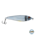 EBS Jigging Spoon