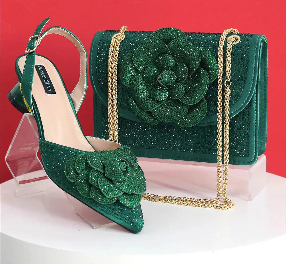 Latest Design Women's Shoes and Bags Set BRE43