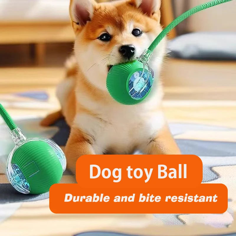 New Dog Interactive Ball Toy  Automatic Rolling Dog Ball Rechargeable Smart Puppy Interactive Toy Intelligent Balls Toy for Dogs