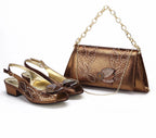 Elegant Low Heels Ladies Shoes And Bag Set