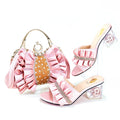 Lastest Ladies Shoes and Bag Set HRT1-41