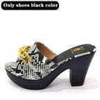 Italian latest design handbag and shoe set
