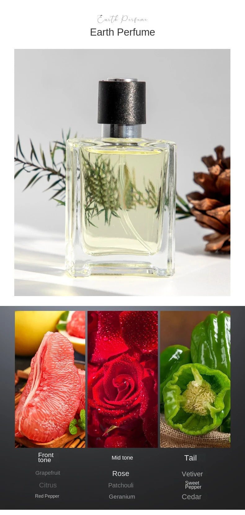 Luxury Brand Perfume Men Cologne Man Parfums Homme 120ml Hombre Perfumes Masculinos Gift Box 4Pcs Set Plant Floral Scent Spray