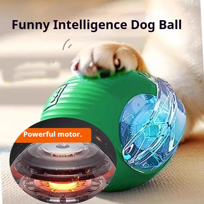 New Dog Interactive Ball Toy  Automatic Rolling Dog Ball Rechargeable Smart Puppy Interactive Toy Intelligent Balls Toy for Dogs