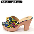 Italian latest design handbag and shoe set