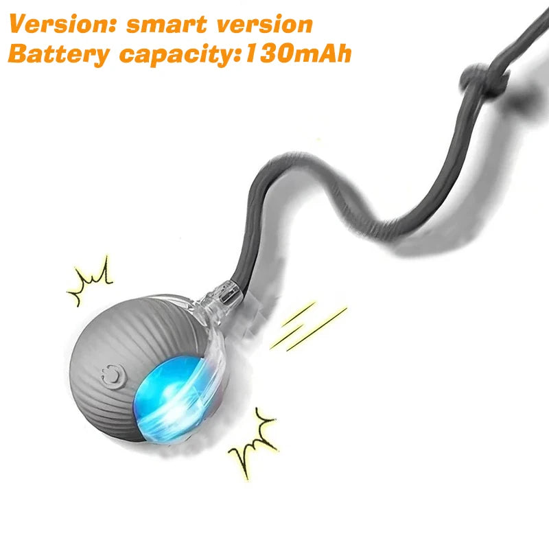 New Dog Interactive Ball Toy  Automatic Rolling Dog Ball Rechargeable Smart Puppy Interactive Toy Intelligent Balls Toy for Dogs