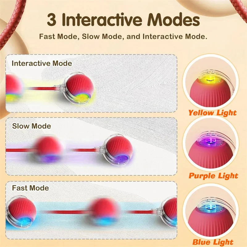 New Dog Interactive Ball Toy  Automatic Rolling Dog Ball Rechargeable Smart Puppy Interactive Toy Intelligent Balls Toy for Dogs