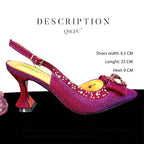 Elegant Set Pointed Toe Shoes And Bag Set QW321