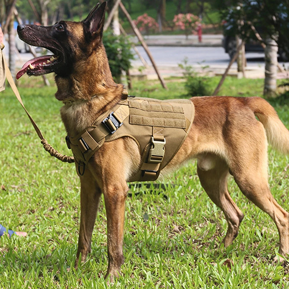Large Dog Harness Training Walking Vest Dog Harness And Collar For Medium Large Dogs