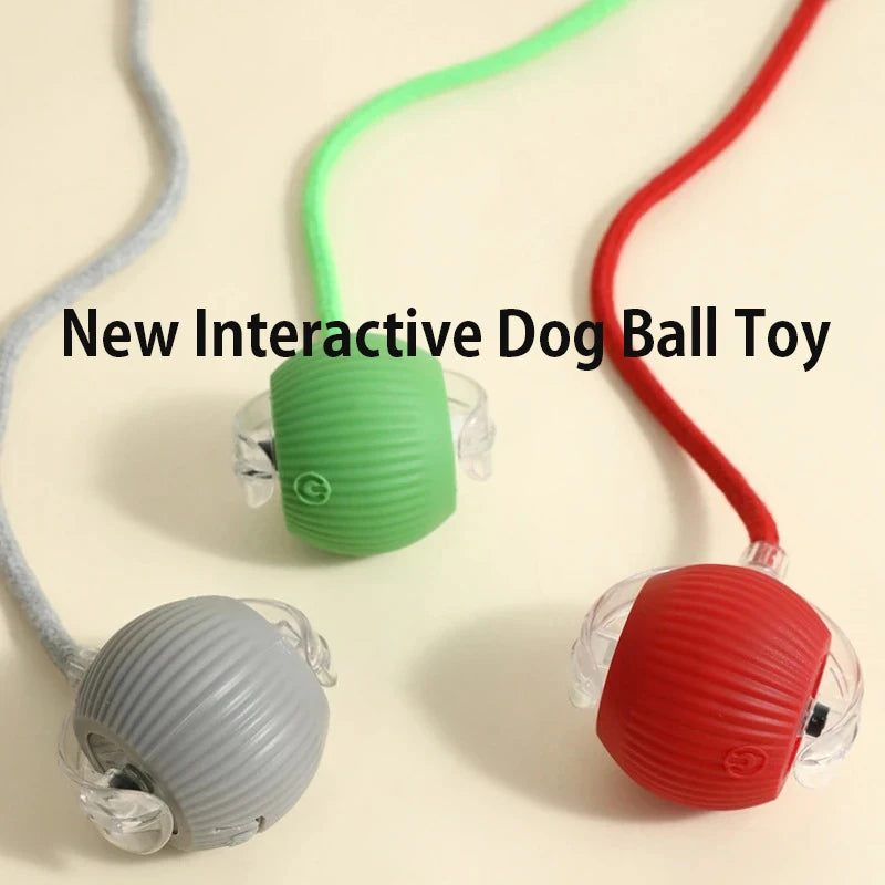 New Dog Interactive Ball Toy  Automatic Rolling Dog Ball Rechargeable Smart Puppy Interactive Toy Intelligent Balls Toy for Dogs