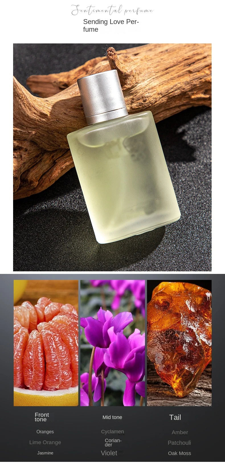 Luxury Brand Perfume Men Cologne Man Parfums Homme 120ml Hombre Perfumes Masculinos Gift Box 4Pcs Set Plant Floral Scent Spray