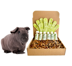 4-HAIRLESS PETS *SKINNYPIG SENSITIVE KIT