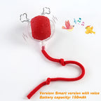 New Dog Interactive Ball Toy  Automatic Rolling Dog Ball Rechargeable Smart Puppy Interactive Toy Intelligent Balls Toy for Dogs