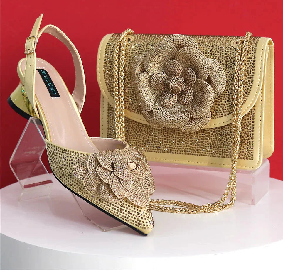 Latest Design Women's Shoes and Bags Set BRE43