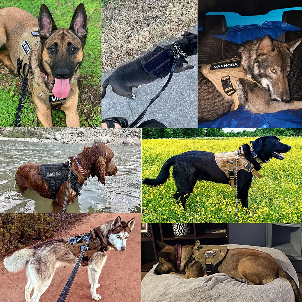 Large Dog Harness Training Walking Vest Dog Harness And Collar For Medium Large Dogs